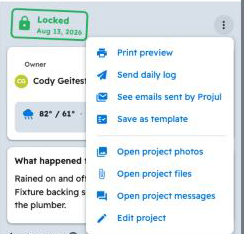 daily log menu save as template